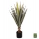 ΔΙΑΚΟΣΜΗΤΙΚΟ ΣΥΝΘΕΤΙΚΟ ΦΥΤΟ HM7986 SISAL AGAVE ΣΕ ΓΛΑΣΤΡΑ Φ15,5x14,5-96Υεκ.