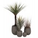 ΣΕΤ 4ΤΜΧ ΓΛΑΣΤΡΕΣ ΣΤΡΟΓΓΥΛΕΣ GARDENER HM4726 FIBERCLAY ΓΚΡΙΖΟΠΡΑΣΙΝΟ Φ52x55Υεκ ΣΕΤ 4ΤΜΧ ΓΛΑΣΤΡΕΣ ΣΤΡΟΓΓΥΛΕΣ GARDENER HM4726 FIBERCLAY ΓΚΡΙΖΟΠΡΑΣΙΝΟ Φ52x55Υεκ