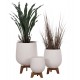 ΣΕΤ 3 ΓΛΑΣΤΡΕΣ ΜΕ TEAK ΒΑΣΕΙΣ TRYLL HM4681.02 FIBER CEMENT ΛΕΥΚΟ ΣΕΤ 3 ΓΛΑΣΤΡΕΣ ΜΕ TEAK ΒΑΣΕΙΣ TRYLL HM4681.02 FIBER CEMENT ΛΕΥΚΟ
